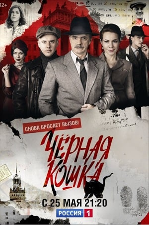 Черная кошка 1 сезон 1 серия
