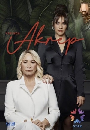 Скорпион (сериал, 1-2 сезоны, все серии)